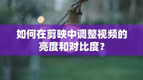 如何在剪映中调整视频的亮度和对比度？,如何在剪映中调整视频的亮度和对比度？,软件教程,第2张