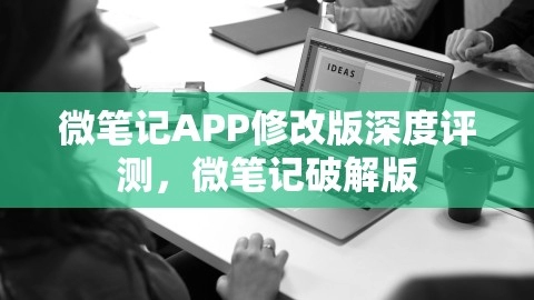 微笔记APP修改版深度评测：破解版体验,微笔记APP修改版深度评测，微笔记破解版,微笔记APP,破解版体验,第1张