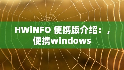 HWiNFO 便携版介绍：，便携windows,HWiNFO 便携版介绍：，便携windows,HWiNFO 便携版,便携windows系统,第1张