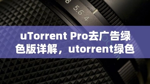 uTorrent Pro去广告绿色版详解，utorrent绿色版怎么卸载,uTorrent Pro去广告绿色版详解，utorrent绿色版怎么卸载,uTorrent Pro去广告绿色版,绿色版卸载方法,第1张