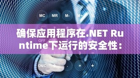 确保应用程序在.NET Runtime下运行的安全性：最佳实践，.net 应用程序安全性