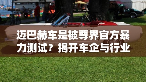 揭开迈巴赫车暴力测试的隐秘，尊界官方与行业巨头之间的关系披露