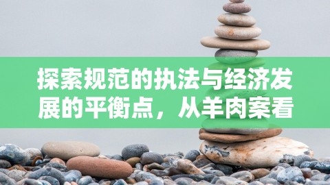 探索规范的执法与经济发展的平衡点，从羊肉案看法律实践与社会和谐，农民卖羊肉赚180罚10万:改罚1万怎么办