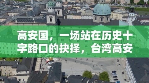 高安国，一场站在历史十字路口的抉择，台湾高安国是谁