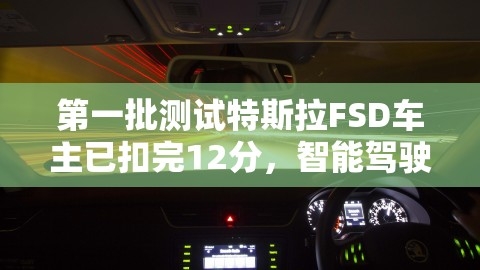 第一批测试特斯拉FSD车主已扣完12分，智能驾驶的未来与挑战，特斯拉fsd是啥意思