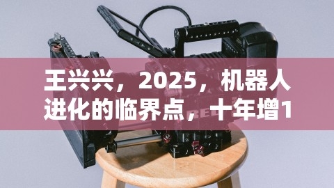 王兴兴，2025，机器人进化的临界点，十年增10倍,机器人市场会否迎来爆发期