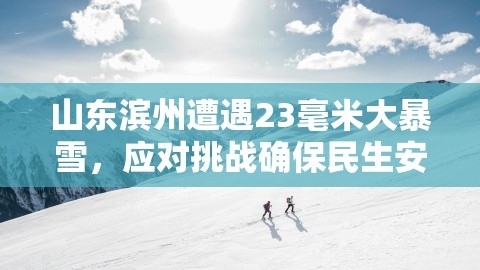 山东滨州遭遇23毫米大暴雪，应对挑战确保民生安全，山东滨州大暴雨