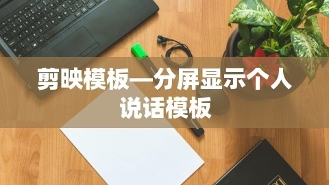 剪映模板——分屏显示个人说话模板