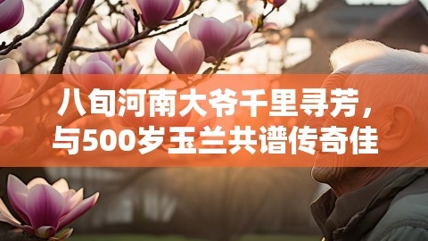 八旬河南大爷千里寻芳，与500岁玉兰共谱传奇佳话,八旬河南大爷千里寻芳，与500岁玉兰共谱传奇佳话,玉兰传奇,80岁河南大爷到法喜寺拍500岁玉兰,第1张