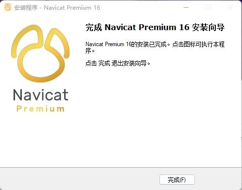 Navicat 16破解版,编程开发,第9张