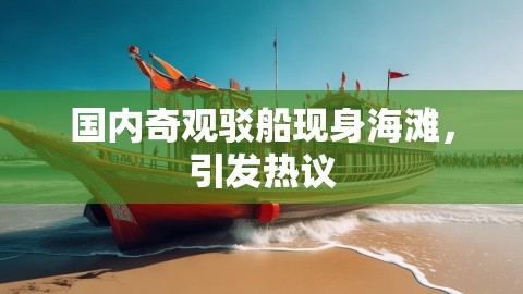 国内奇观驳船现身海滩，引发热议