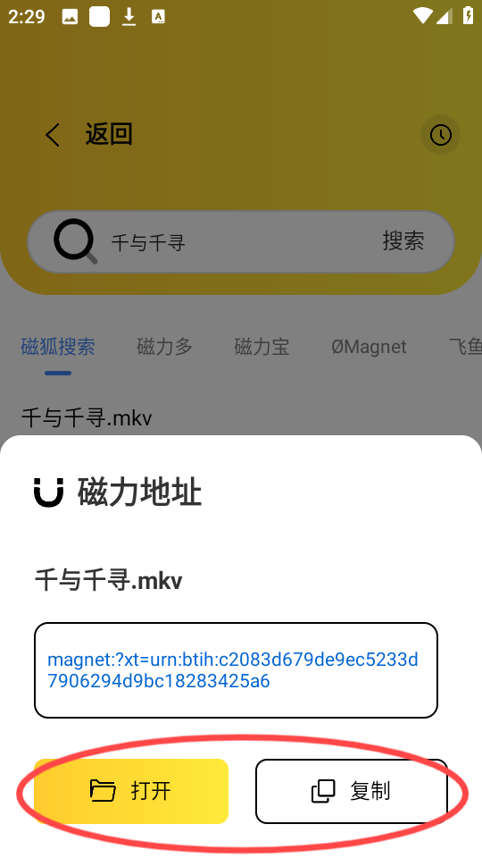 闪电磁力 安卓版,闪电磁力,下载工具,第5张