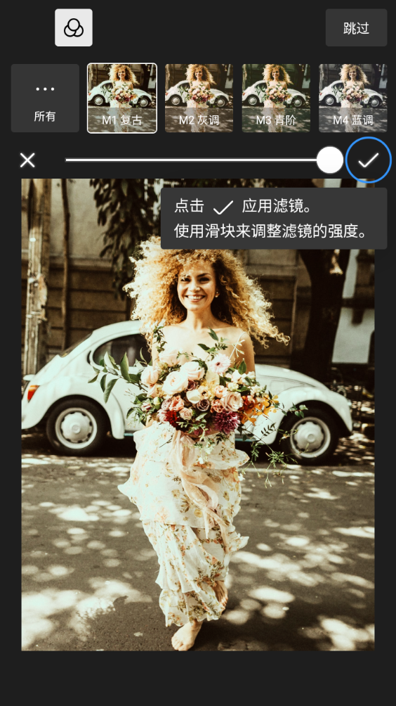 老版polarr修图 安卓版,polarr修图,照片处理,第2张