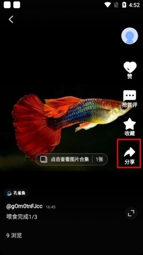 鲲天下 安卓版,鲲天下怎么删除作品2,生活服务,第5张