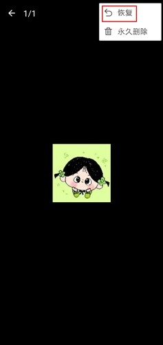 照片保险箱 安卓版,照片保险箱图片2,系统其它,第5张