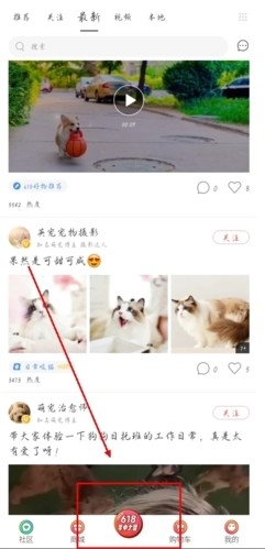 波奇宠物 安卓版,波奇宠物app怎么提问图片1,生活服务,第5张