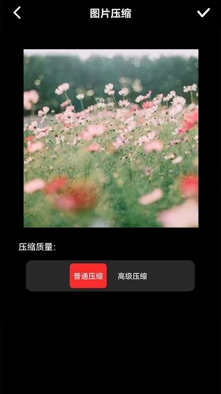 图像压缩器 安卓版,图像压缩器,图片处理,第2张