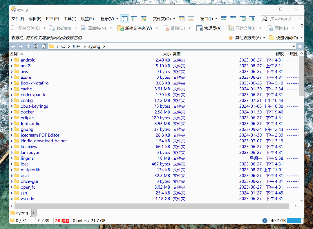 618 大促！增强型文件管理器 Directory Opus 13 限时 85 折，买断只要 160.65 元,正版软件促销活动,第6张